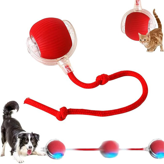 2025 New Interactive Dog Cat Toys Balls,Interactive Rolling Ball Cat Toy, 360° Smart Automatic Rolling Pet Ball, Fast Movi...