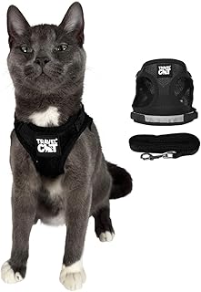 Travel Cat Harness and Leash Set - Adjustable Fit Mesh Cat Harness and Reflective Strap - Comfort Walking Vest for Kitten ...