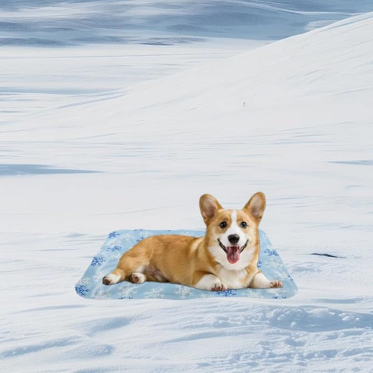 FORGEMATE Dog Cooling Mat Indoor - Summer pad for Small Dog and Cat, Travel Dog Bed with Cooling-Gel Technology for Pets