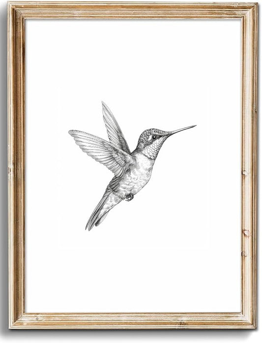 uniro Vintage Wall Art Prints Farmhouse Decor Hummingbird Sketch Canvas Oil Painting Black and White Bird Neutral Vintage ...