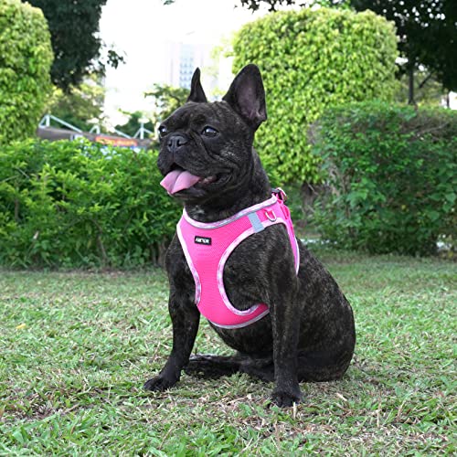AMTOR Small Dog Harness with Leash Set, No Escape Easy Walk Puppy Harnesses for Training Walking, Step-in Reflective Soft ...