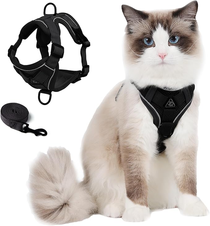 Skmeditec Cat Harness and Leash Set: Upgraded Escape Proof Vest with Lead for Large Cat Small Dog Puppy Walking, Soft Jack...