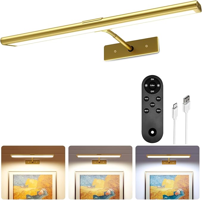 EZVALO Picture Light for Wall, 4800mAh Rechargeable Wireless Remote, 16in Dimmable Magnetic LED Art Display Light with 3 C...