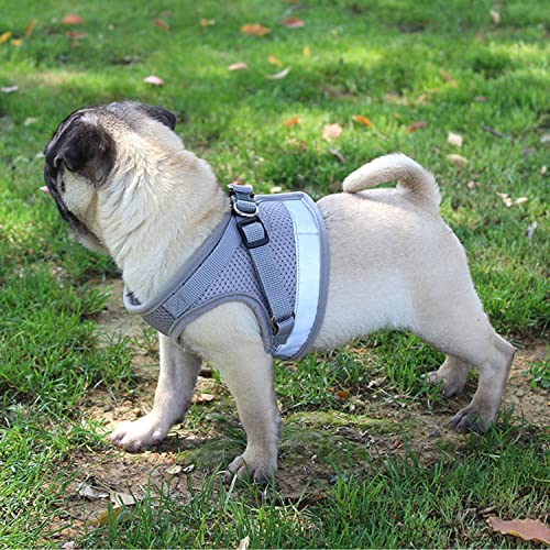 Petbuy Step in Dog Harness and Leash Set,Reflective Adjustable Soft Mesh Breathable Pet Vest Dog Harnesses Set, No Chock N...
