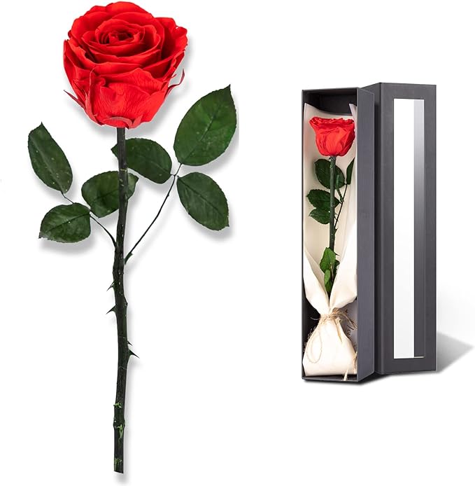 SofLiv Flowers for Delivery Prime, Preserved Roses Flower Gifts for Women, Real Roses Single Rose Presents for Her, Mom Bi...