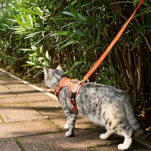 pangdi Cat Harness and Leash Escape Proof Large Kitten Harness Ragdoll Cat Vest for Walking Travel, Orange, L