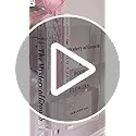 Puransen Clear Book Flower Vase - Floral Bookshelf Decor, Acrylic Flower Holder & Space-Saving Organizer, Modern Home Offi...