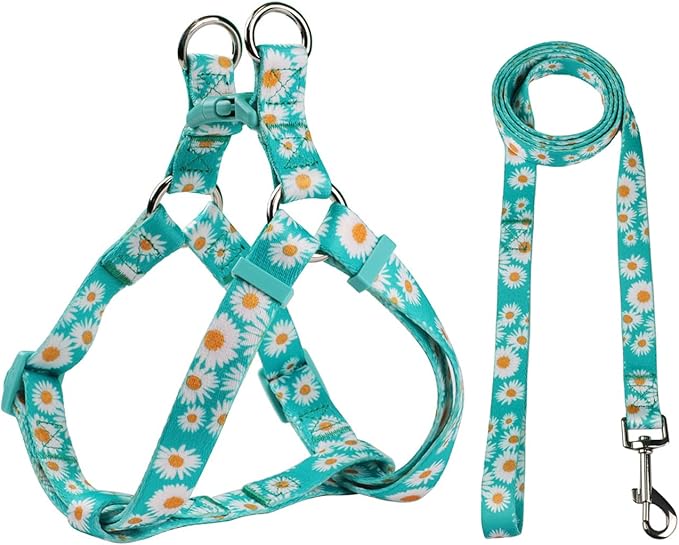 Olahibi Harness and Leash Set, Floral Pattern, 5ft Matching Leash, No Pull, Easy Wear for Small Dogs.(S, Green Daisy)