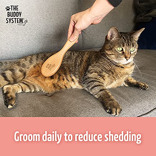 The Buddy System Cat Brush with Boar Bristle and Wooden Handle, Professional Grade Daily Grooming Hairbrush, Reduce Sheddi...