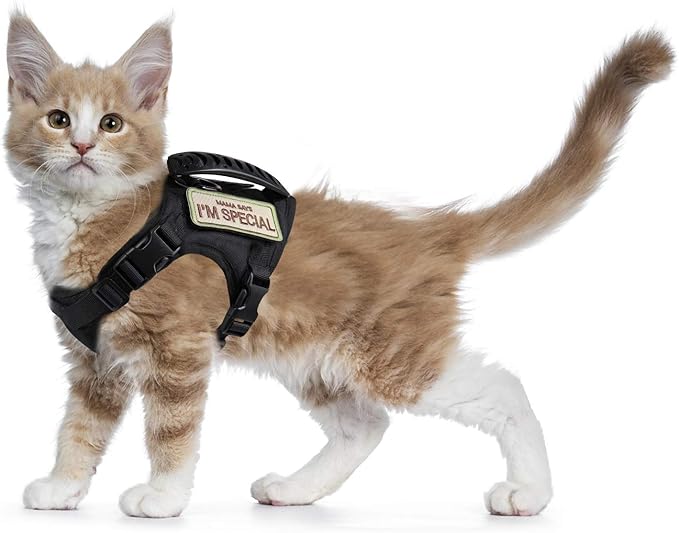 Tactical Cat Harness for Walking Escape Proof, Soft Mesh Adjustable Pet Vest Harness for Large Cat,Small Dog