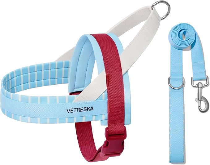 VETRESKA Dog Harness and Leash Set, Puppy Harness Adjustable, Easy Control No Choke Dog Harness for Small, Medium Dogs, Ca...