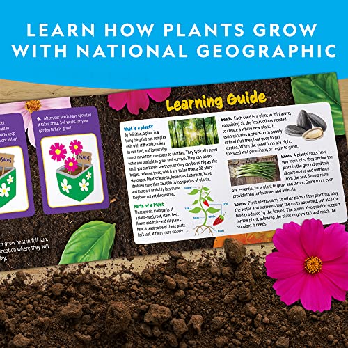National Geographic Flower & Herb Gardening Kit for Kids - Gardening Set with 3 Stainless Steel Pots, Paint & Stickers, Ki...