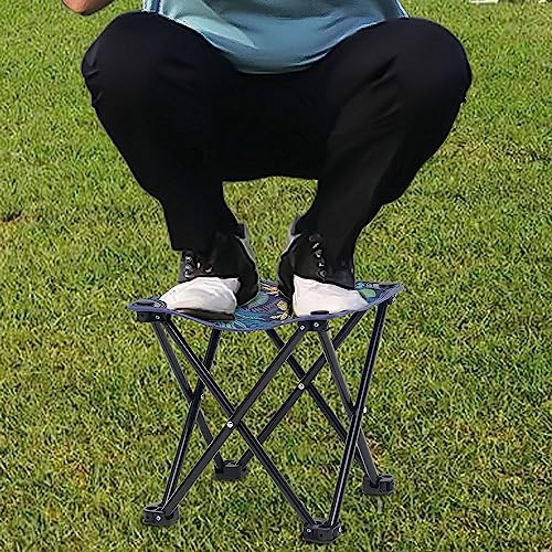 Wind Tour Portable Folding Camping Stool Outdoor Camping Lightweight Samll Chair for Fishing Hiking Gardening and Beach wi...