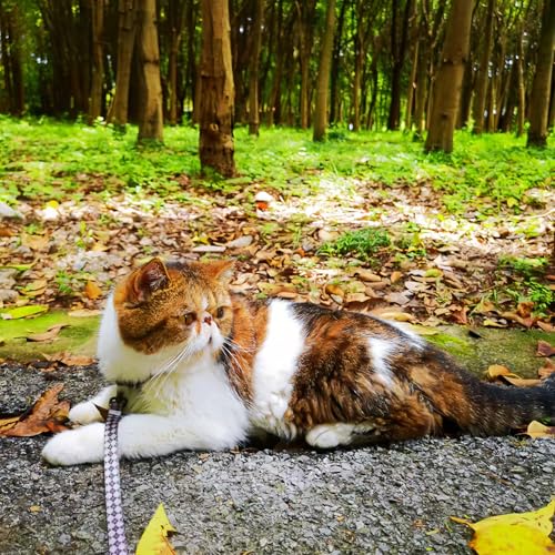 Muejjur Cat Harness and Leash Set, Escape-Proof Adjustable Kitten/Cat Harness for Walking & Travel, Easy Control, Comforta...