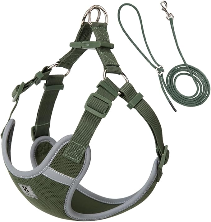 SMALL COMBINATION Adjustable Dog Harness with Leash Set, Reflective Padded,Matching Lead Rope (Army Green, XS)