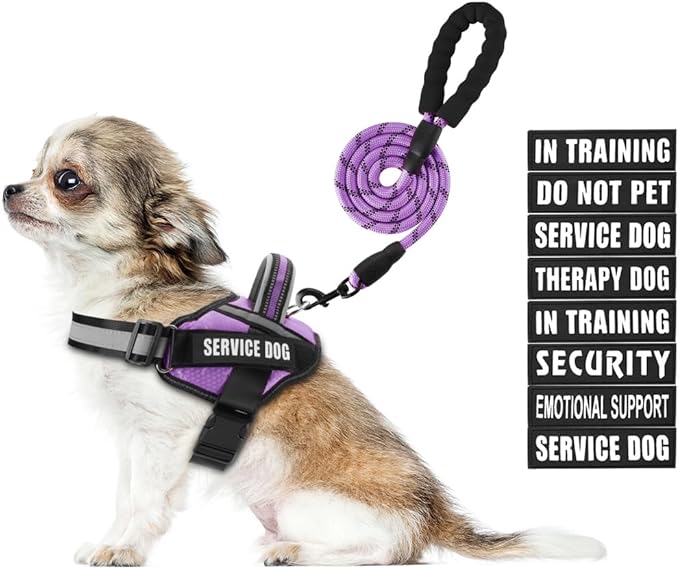 Animire Service Dog Harness and Leash Set, XS, Purple, with 10 Patches, Reflective, for Small Dogs