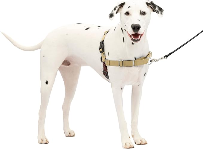 PetSafe Easy Walk Harness for Dogs - Pull-Free Walks - Patented Martingale Loop Design - Front Chest Leash Attachment - Co...
