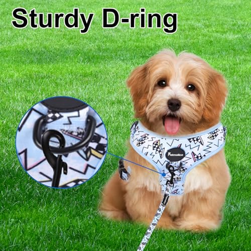 Petmolico Dog Harness and Leash Set Soft Mesh Small Dog Harnesses Vest No Pull Dog Vest Puppy Harness and Leash Set Traini...