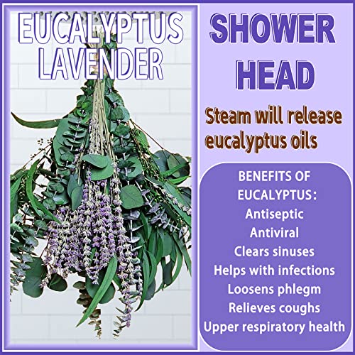 52 PCS Mix Dried Eucalyptus & Lavender Flowers Bundles for Shower, 17'' Natural Real Hanging Silver Dollar Eucalyptus Leav...