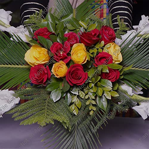 FLOFARE Pack of 8, Dry and Wet Floral Foam Blocks for Fresh and Artificial Flowers, Each (7.8” L x 3.5” W x 2.4” H), for W...