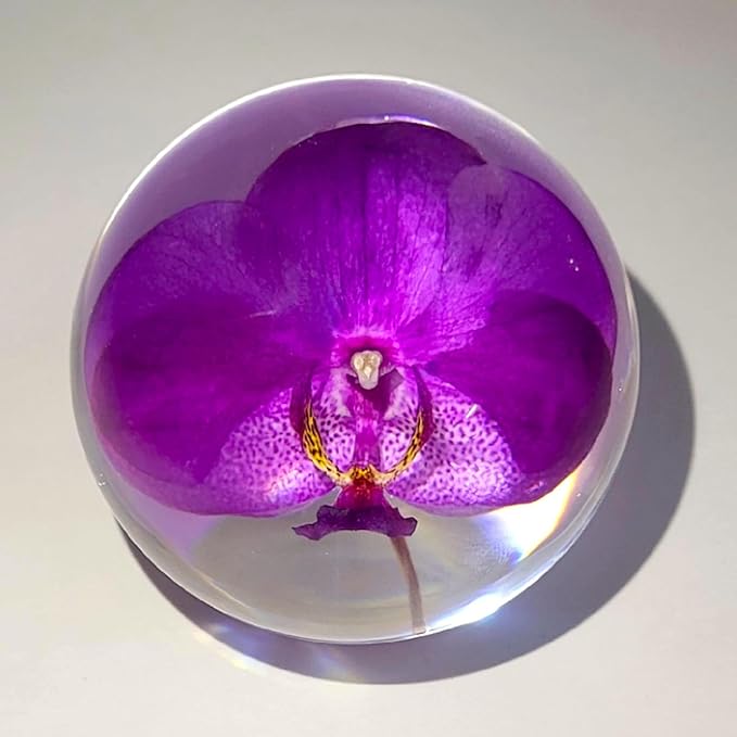 HQRP-Crystal 66mm Real Purple Orchid in Clear Lucite Resin Ball Anniversary Wedding Engagement Valentine October Birth Mon...