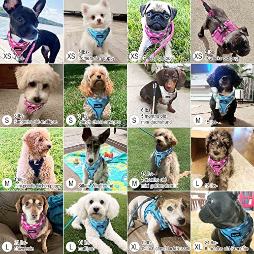haapaw Dog Harness with Leash Set, No Pull Adjustable Reflective Step-in Puppy Harness with Thickened Padded Vest for Extr...