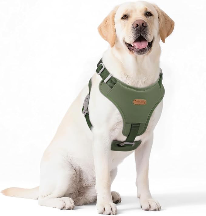 Xlife No-Pull Dog Harness for Medium Dogs - Easy On/Off Adjustable Vest with 3D Air Cushion, Safety Buckle & No-Choke D Ri...