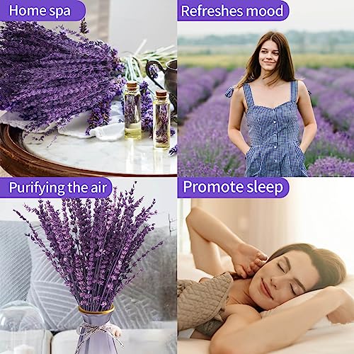 Dried Purple Lavender Flowers Bundle-Dried Preserved Lavender Bouquet 15-17" for Shower Weeding Home Vase Decor, Crafts, A...