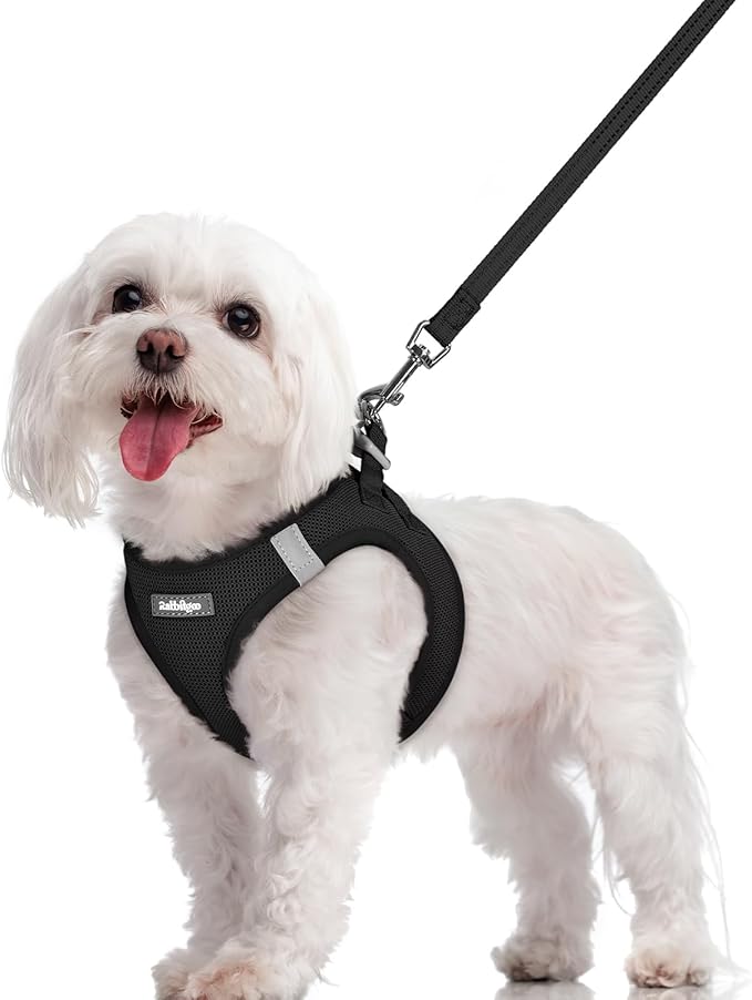 rabbitgoo Dog Harness Small Sized and Leash Set, Step in Soft Light Puppy Vest, Breathable Mesh Pet Harness, Reflective fo...