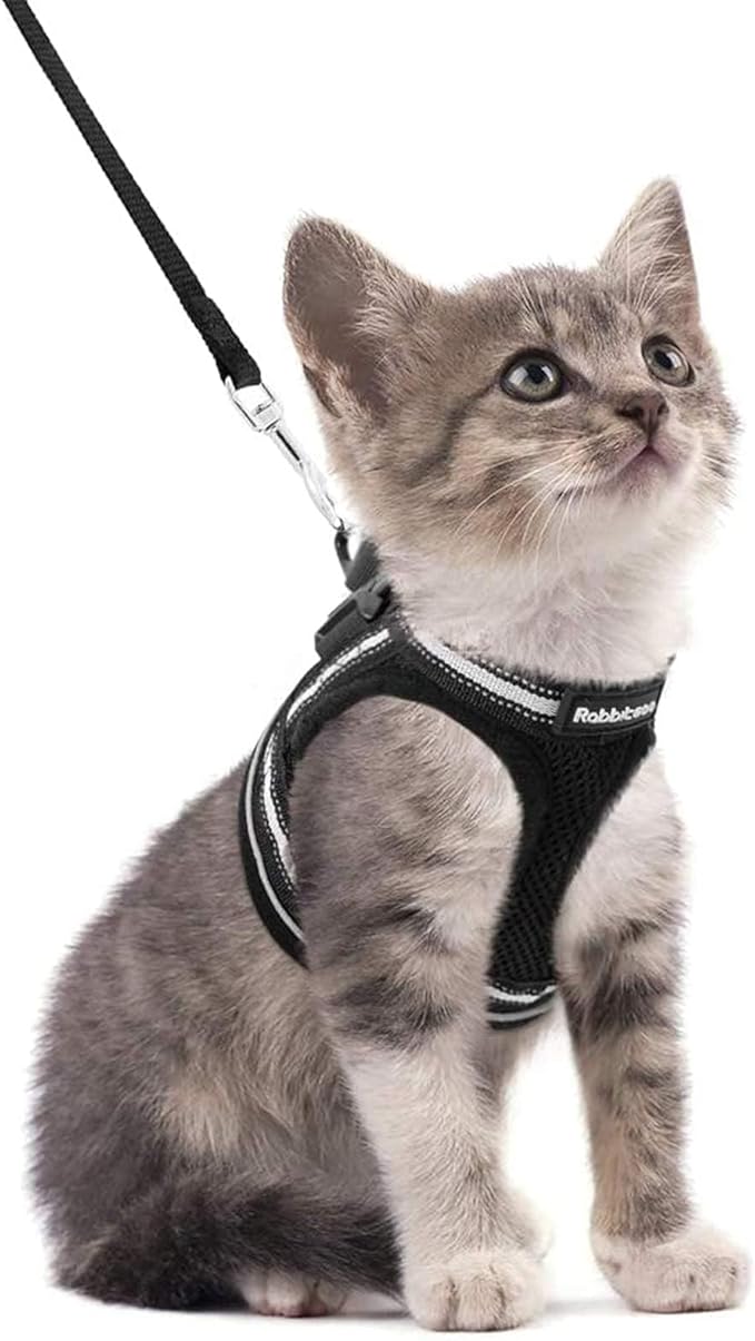 rabbitgoo Cat Harness and Leash Set for Walking Escape Proof, Adjustable Soft Kittens Vest with Reflective Strip for Cats,...
