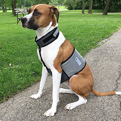 CoolerDog Dog Cooling Vest & Cooling Collar – Ice Vest for Hot Weather Heat Relief, Re-Freezable Pure Water Inserts (Mediu...