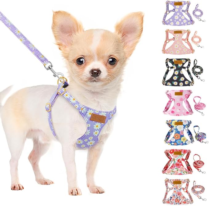 SlowTon Dog Harness Small Sized Dog - Soft XXS Dog Harness and Leash Set No Pull No Chock, Adjustable Lightweight Puppy Ha...