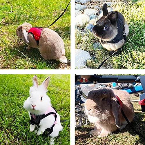 PETTOM Bunny Rabbit Harness with Stretchy Leash Cute Adjustable Buckle Breathable Mesh Vest for Kitten Small Pets Walking...