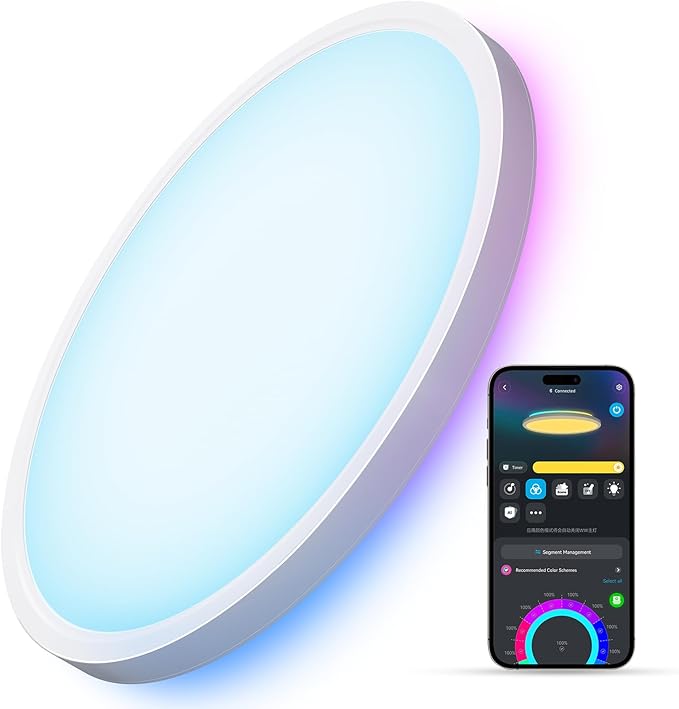 Govee Smart Ceiling Light, RGBIC LED Ceiling Light Fixture, 2400LM Flush Mount Light Fixture, DIY Colors, Works with Alex...