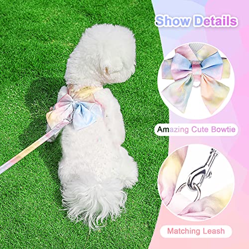 PETCARE Cute Bow Tie Dog Harness and Leash Set Elegant Rainbow Gradient Puppy Harness No Pull Soft Mesh Pet Cat Dog Vest H...