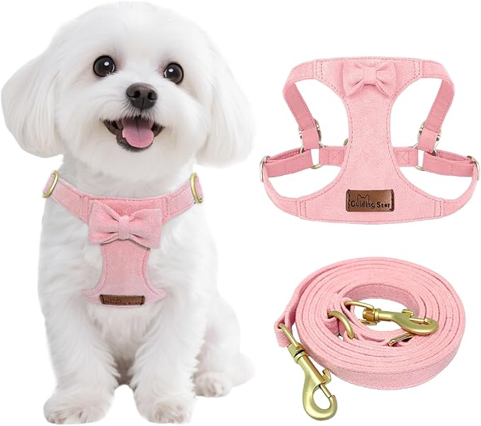 Guiding Star Dog Harness Small Sized Dog with Multifunction Leash, No Pull Puppy Dog Harness and Leash Set Training, Cute ...