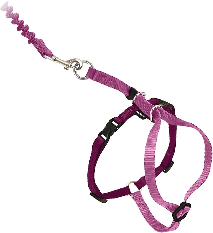 PetSafe Come With Me Kitty Cat Harness & Bungee Leash - Comfortable Cat Harness with Lightweight Bungee Leash for Outdoor ...