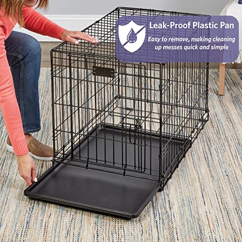 MidWest Homes for Pets 18-Inch iCrate for Tiny Breeds, Up to 10 lbs, Single Door Folding Dog Crate with Divider Panel, Lea...