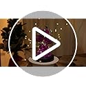 Agrul Mothers Day Flowers Roses Gifts for Mom,Forever Preserved Flower Rose in Glass Dome,Fresh Flowers for Delivery,Mothe...