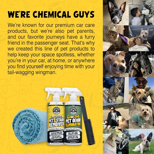 Chemical Guys Professional Rubber Pet Hair Removal Brush – Multi Surface Detailing & Pet Hair Removal Tool for Cars, Truck...