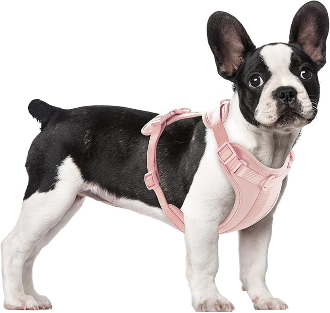Wisedog No Pull Lightweight Dog Vest Harness with Soft and Comfortable Cushion, Breathable Mesh, for Small Medium Large Do...