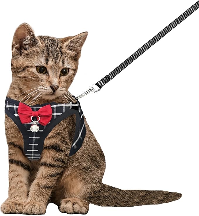 Cat Leash and Harness Set,Breathable Dog Harness,Pet Harness,Adjustable Mesh cat Harness and Leash Escape Proof for Puppy ...