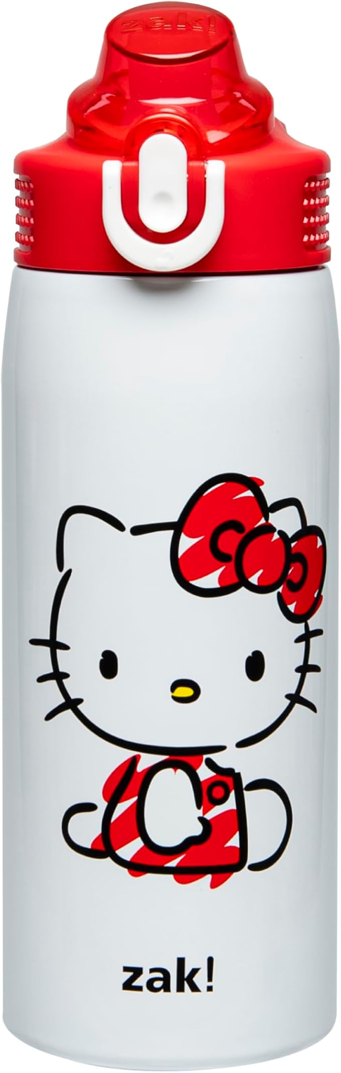 Zak Designs Sanrio Sage Kids Water Bottle For School or Travel, 19oz Stainless Steel Water Bottle With Straw, Handle, and ...