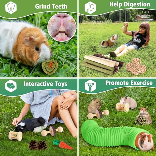 Kyouki Hamster Toys Guinea Pig Toys Set with Tunnel, Chewable Apple Wood & Natural Timothy Hay - Enrichment Chew Toys for ...