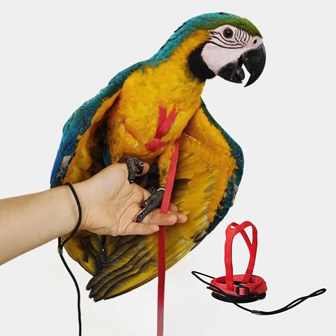 Adjustable Bird Harness with 78.7 Inch Leash, Outdoor Flying Training Rope Kit for Bird Parrots, Parrot Flying Rope Straps...