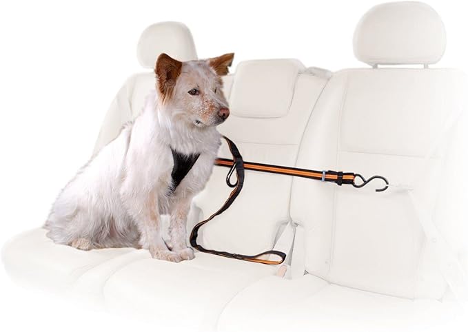 Kurgo Auto Zip Line - Backseat Zipline Harness for Car Travel - Dog Car Accessory for Safe Rides - Adjustable Pet Tether -...