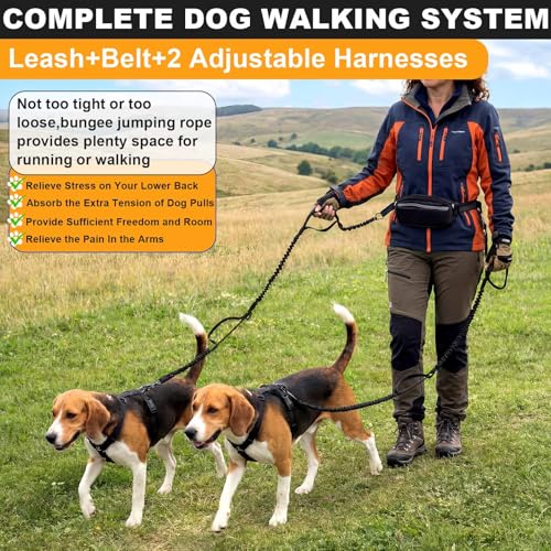 Aliceset Hands Free Double Dog Leash for 2 Dogs, with 2 Adjustable Harnesses + 2 Bungee Leashes + Waist Bag, Dual Handles...