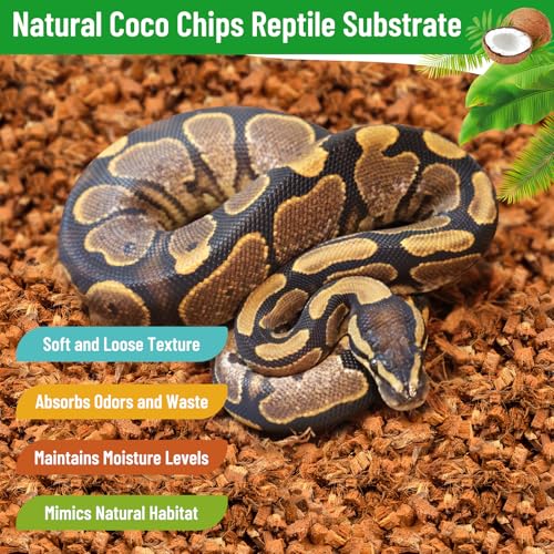 Riare 4 Pack Natural Coconut Chip Substrate for Reptiles- Compressed Coconut Husk Reptiles Bedding, Coco Husk Chip Terrari...
