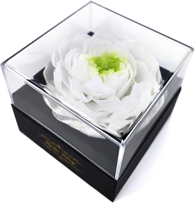 Fresh Cut Flower Preserved Peony for Women Mom Wife Girlfriend - Flower Gift Real Peony Decor for Mother's Day Valentine's...