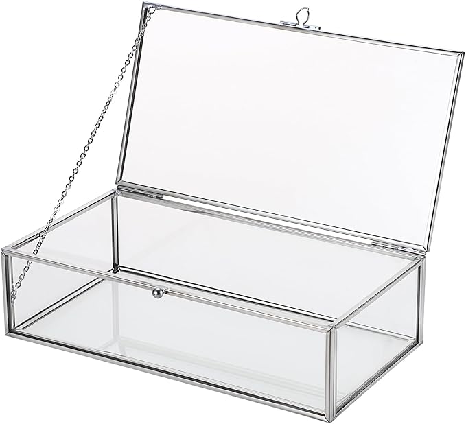 Hipiwe Glass Keepsake Display and Jewelry Organizer With Lid - Silver Decorative Clear Rectangle Storage for Trinket Perfu...